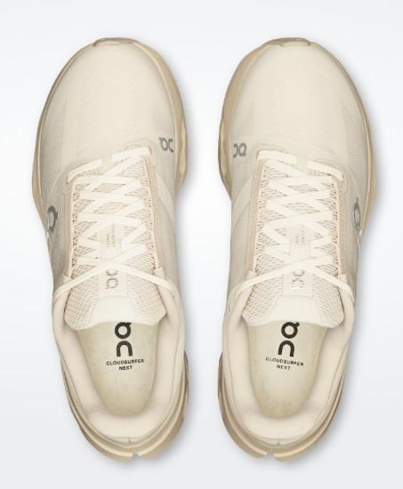 ON RUNNING CLOUDSURFER NEXT